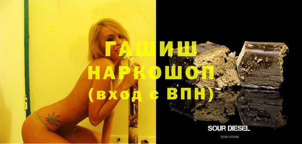 крисы Коряжма