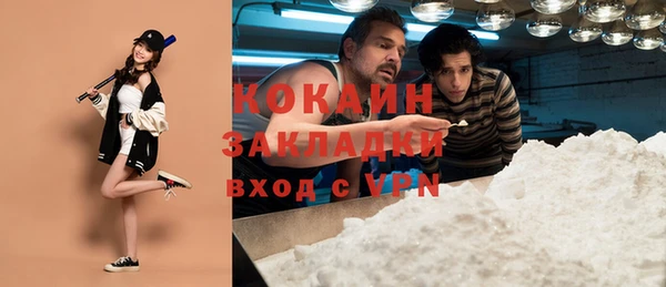 крисы Коряжма
