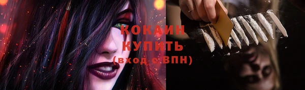 крисы Коряжма
