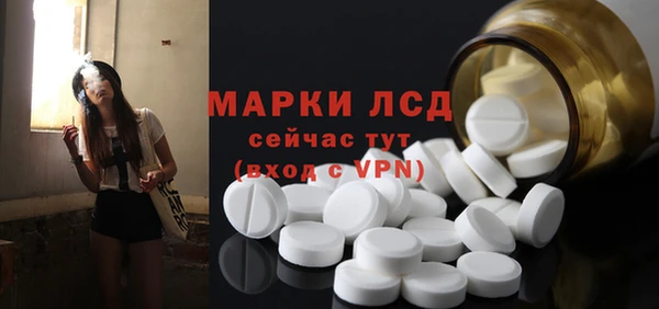 крисы Коряжма