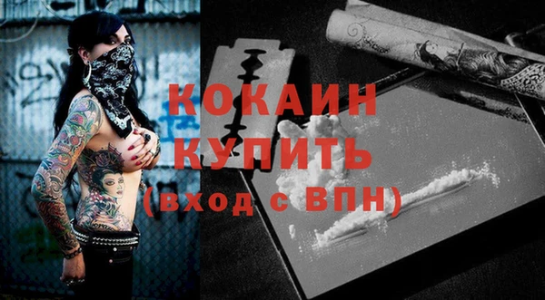 крисы Коряжма