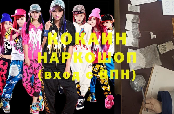 крисы Коряжма