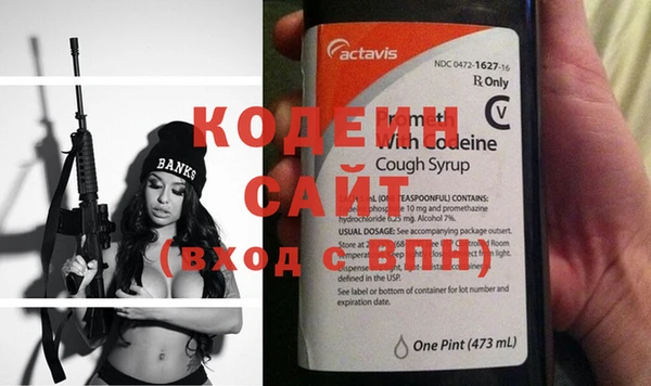крисы Коряжма