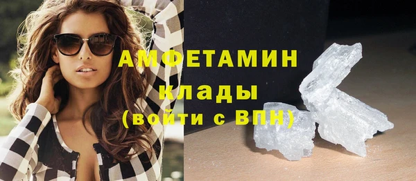 крисы Коряжма
