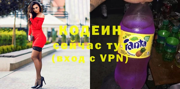 крисы Коряжма