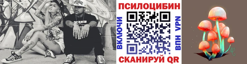 Псилоцибиновые грибы ЛСД  Купить где  Богданович 